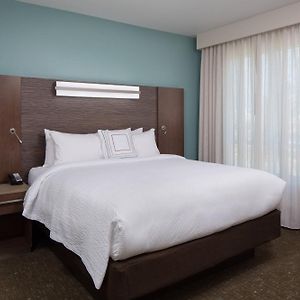 One-Bedroom King Suite Sofa Bed